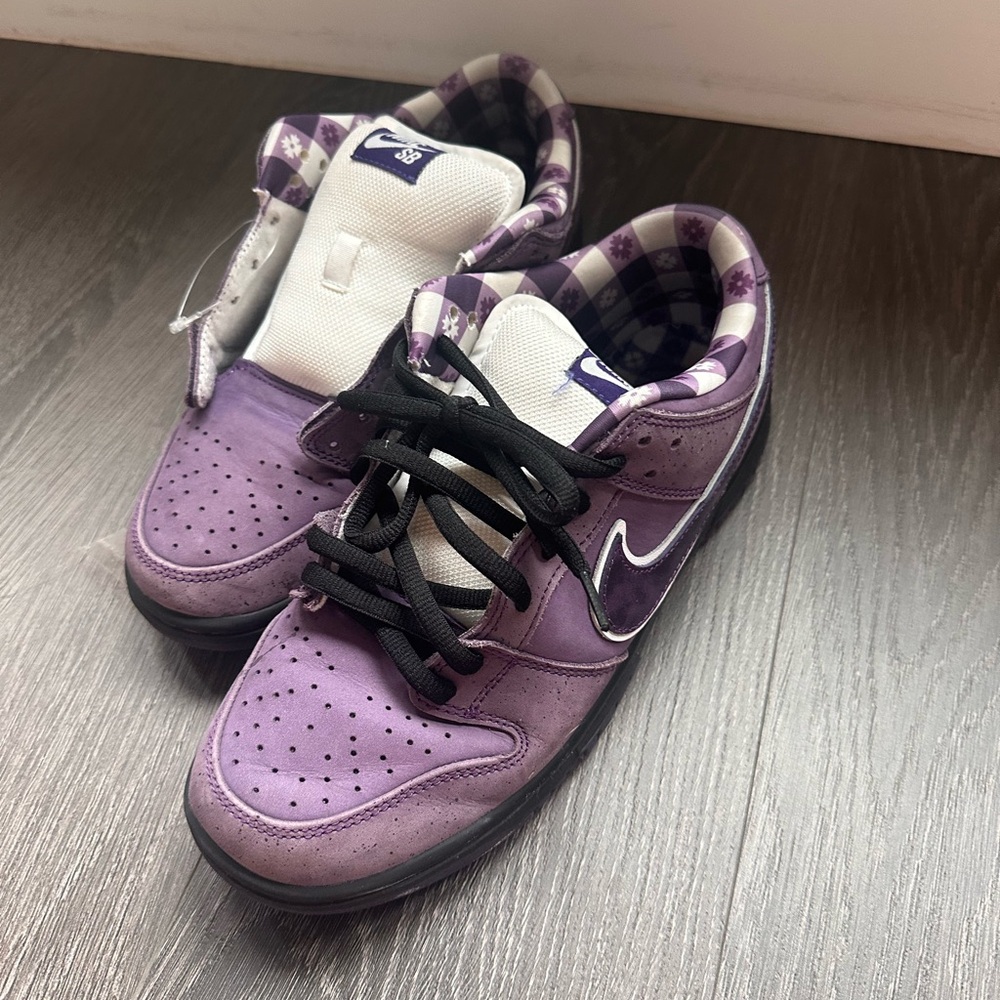 Nike Dunk Low SB Purple Lobster